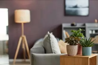 Background of green plants in elegant living room interior