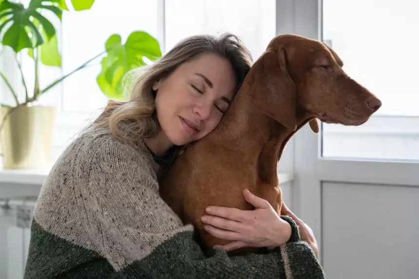 Middle age woman embracing her beloved Wirehaired Vizsla dog at home. Animal therapy concept